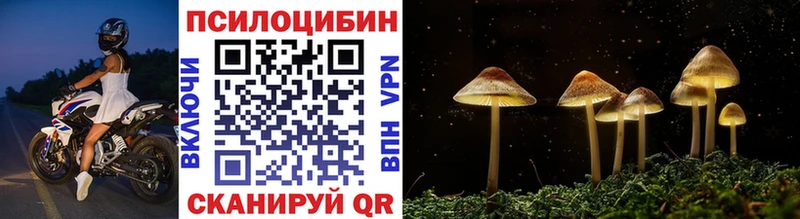дарнет шоп  Березники  hydra ТОР  Галлюциногенные грибы Psilocybine cubensis 