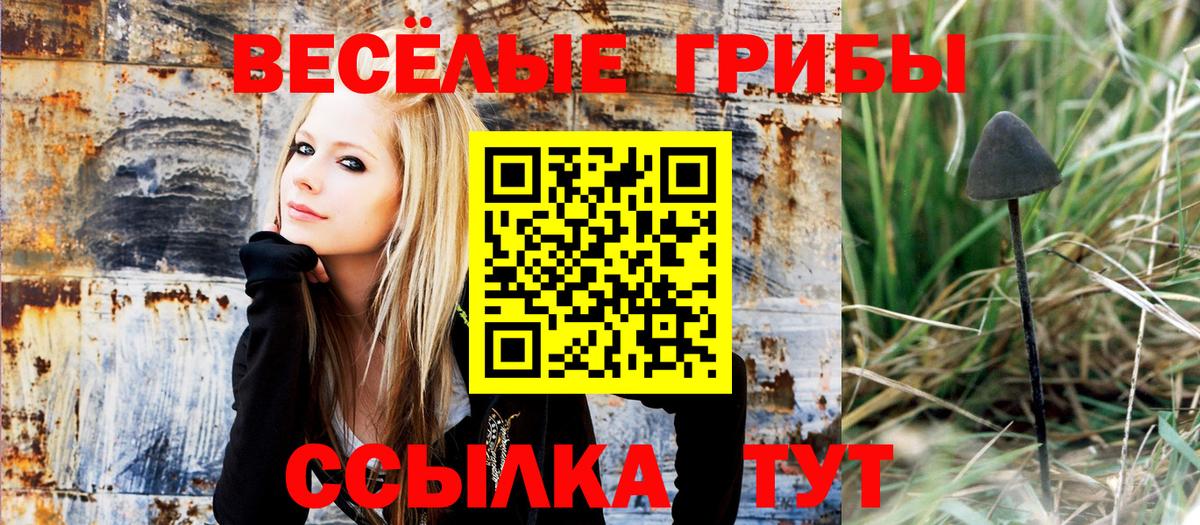 Псилоцибиновые грибы MAGIC MUSHROOMS Березники