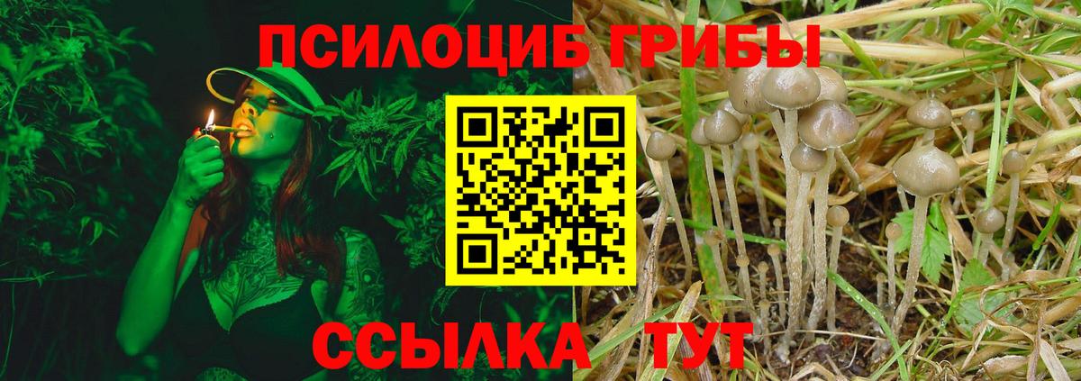 Березники  Галлюциногенные грибы Cubensis  Псилоцибиновые грибы мицелий  Вход с VPN 