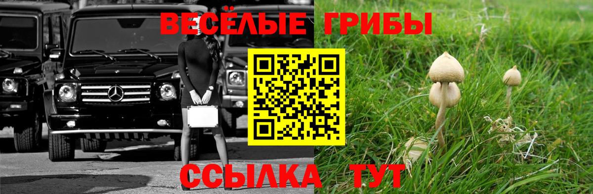 Псилоцибиновые грибы мухоморы Березники