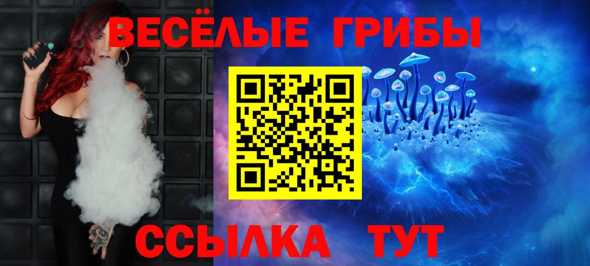 Псилоцибиновые грибы GOLDEN TEACHER  купить наркоту  Березники 